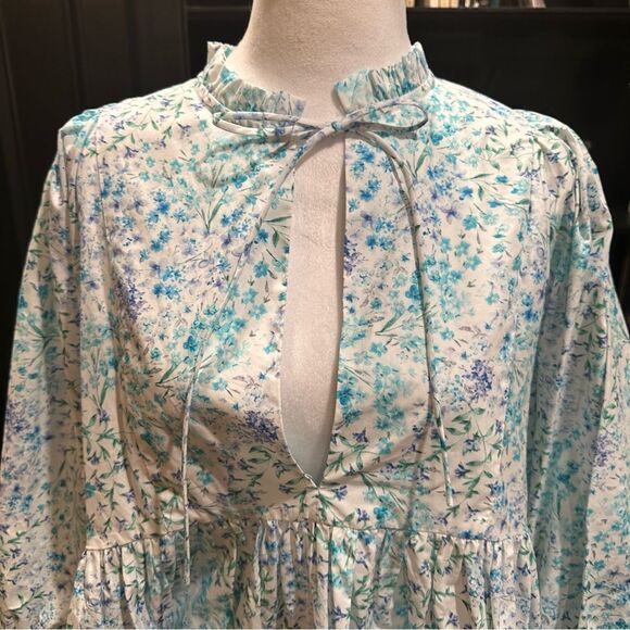 Zara Bloggers Favorite Blue Floral Poplin Dress Size Small - Picture 4 of 13